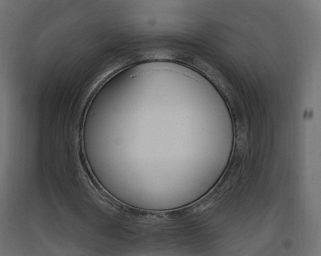 X0000093380386200710111352