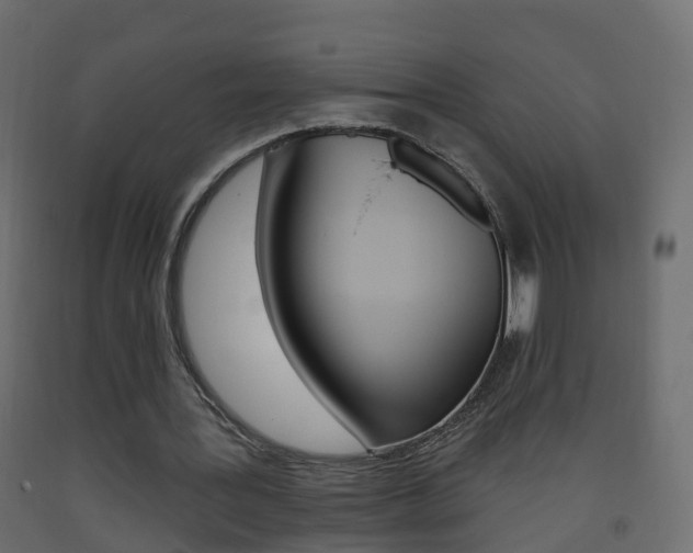 X0000093380387200710111352