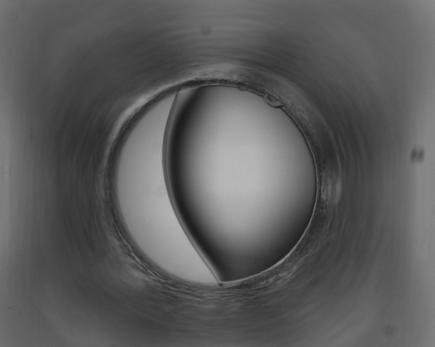 X0000093380388200710111352