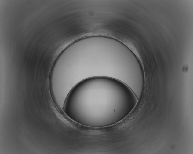 X0000093380389200710111351