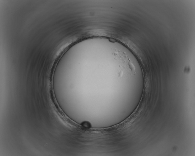 X0000093380390200710111351
