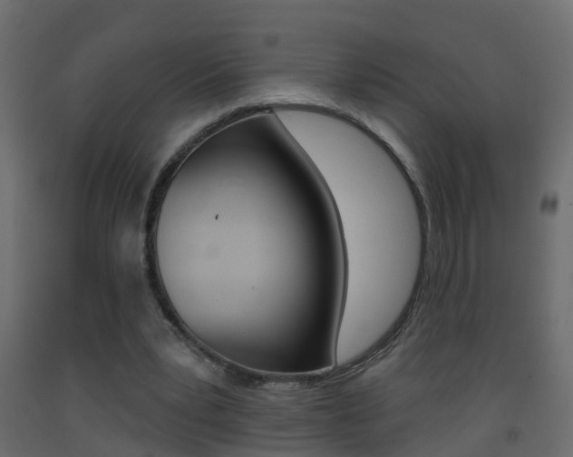 X0000093380391200710111351