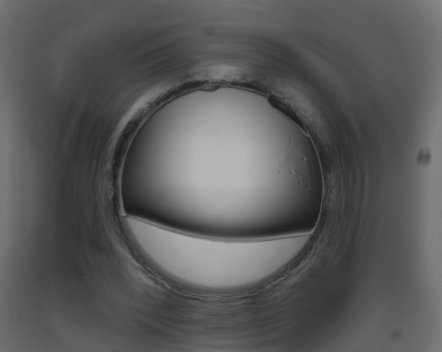 X0000093380392200710111351
