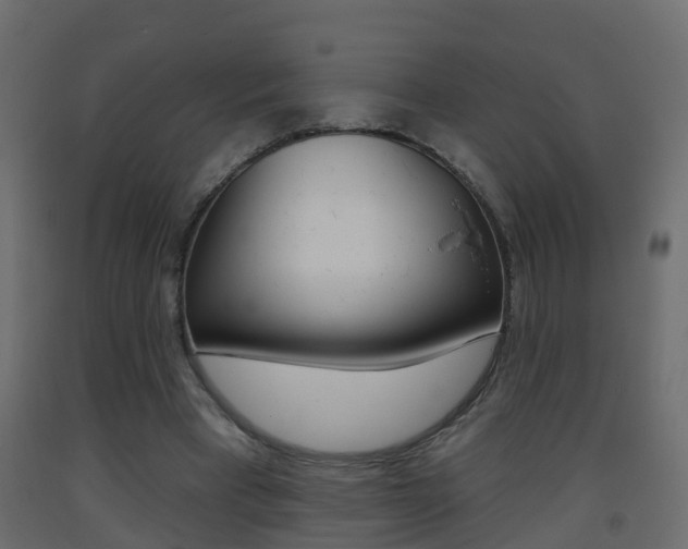 X0000093380393200710111351