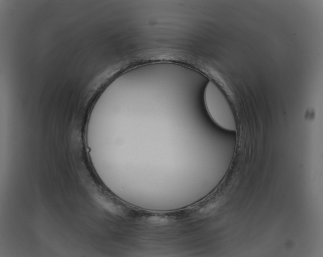 X0000093380394200710111351