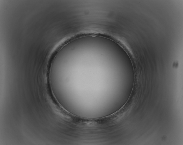 X0000093380395200710111351