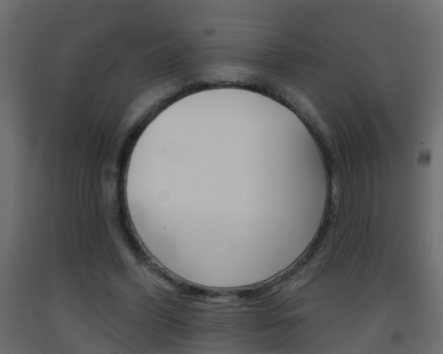 X0000093380396200710111351