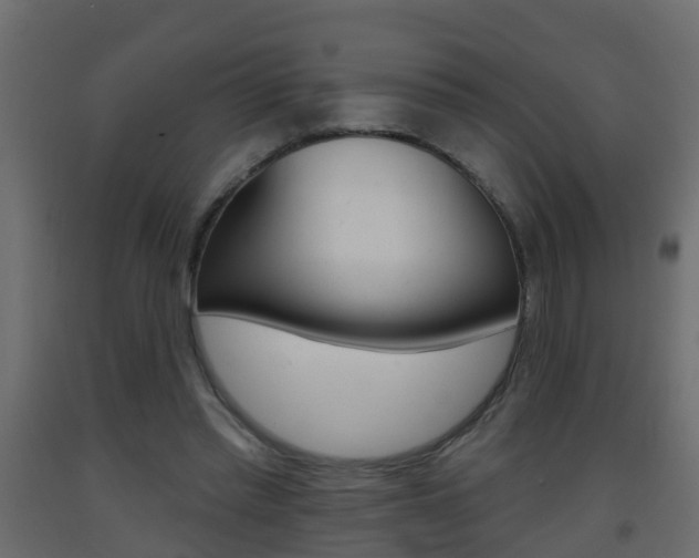 X0000093380397200710111351