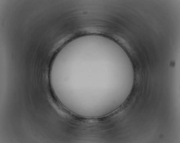 X0000093380398200710111351
