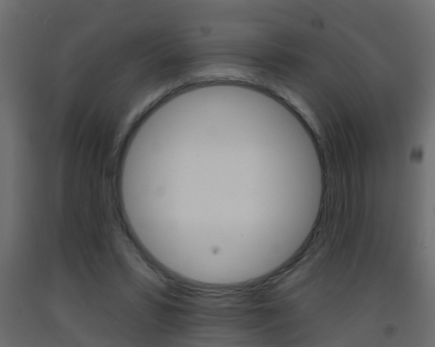 X0000093380399200710111351