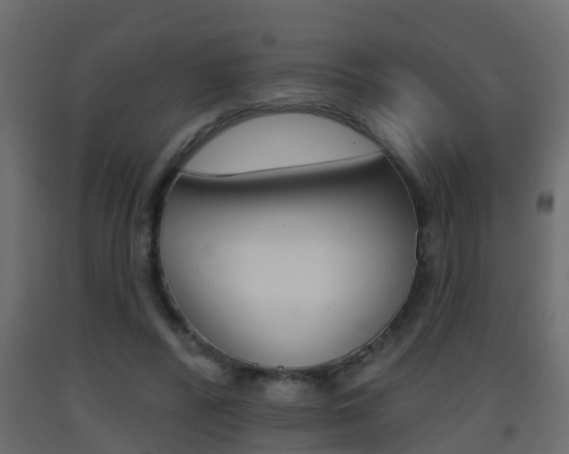 X0000093380400200710111351