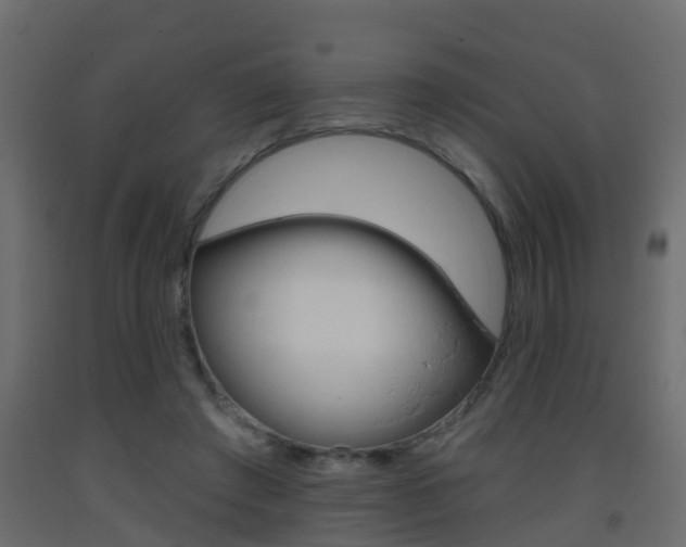 X0000093380401200710111351