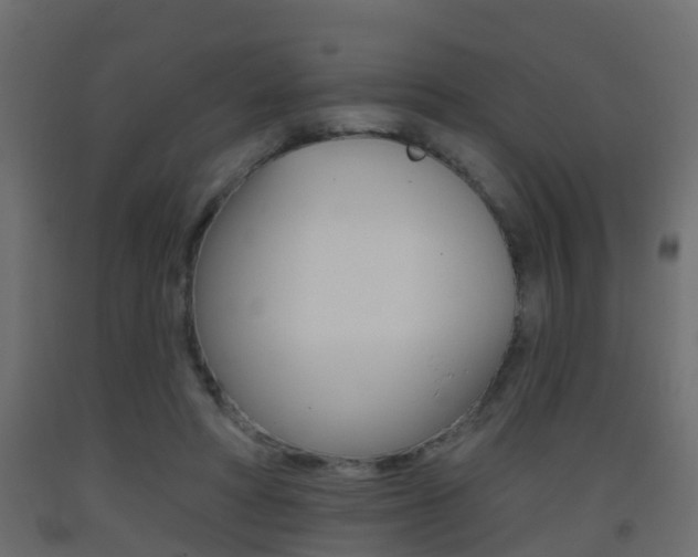 X0000093380402200710111351