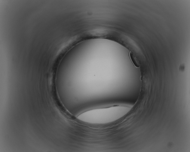 X0000093380404200710111351