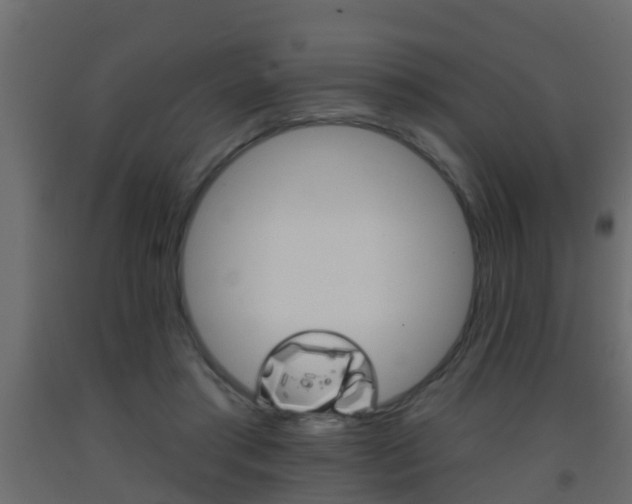 X0000093380405200710111351