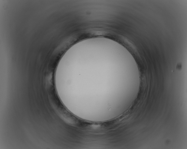 X0000093380406200710111351