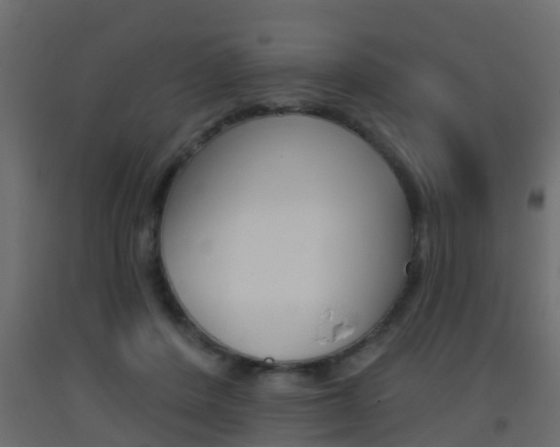X0000093380408200710111351
