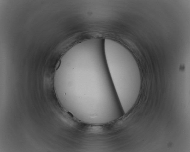 X0000093380409200710111351