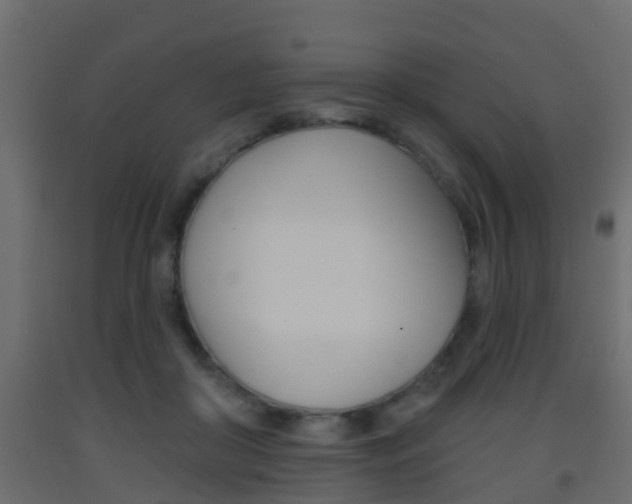X0000093380410200710111351