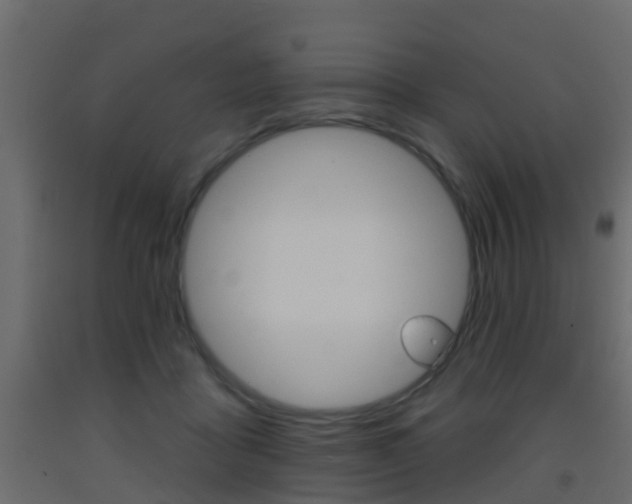 X0000093380411200710111351