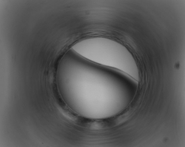 X0000093380412200710111351
