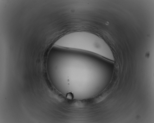 X0000093380416200710111351
