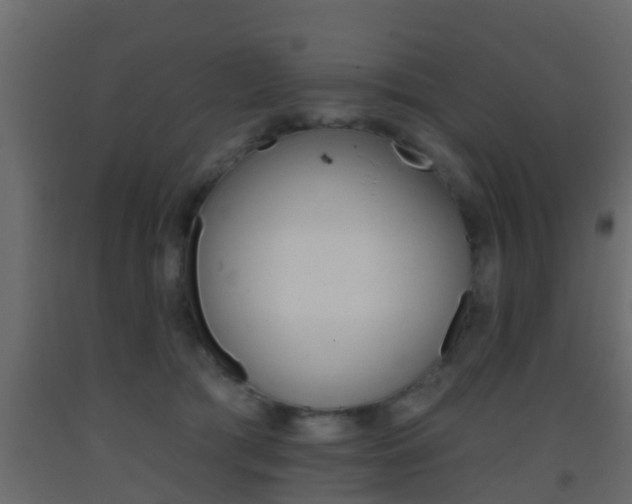 X0000093380417200710111351