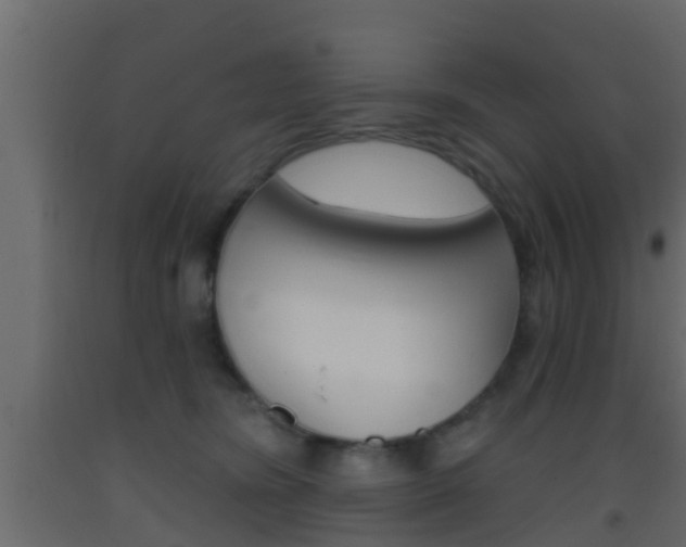 X0000093380420200710111351