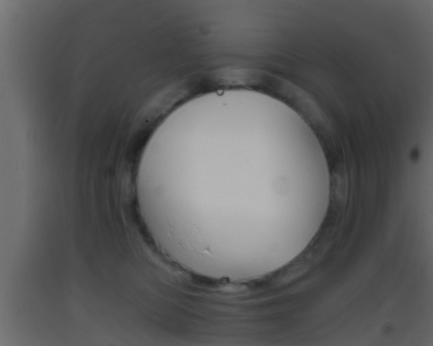 X0000093380422200710111351