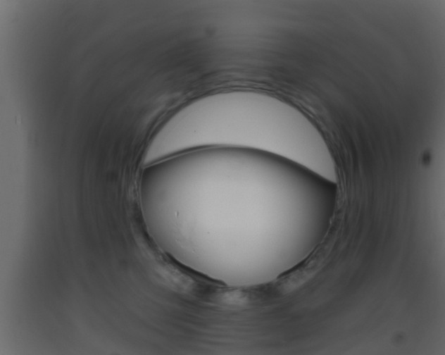 X0000093380423200710111351