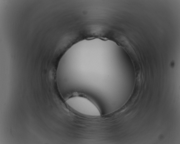 X0000093380424200710111351