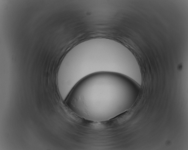 X0000093380425200710111351