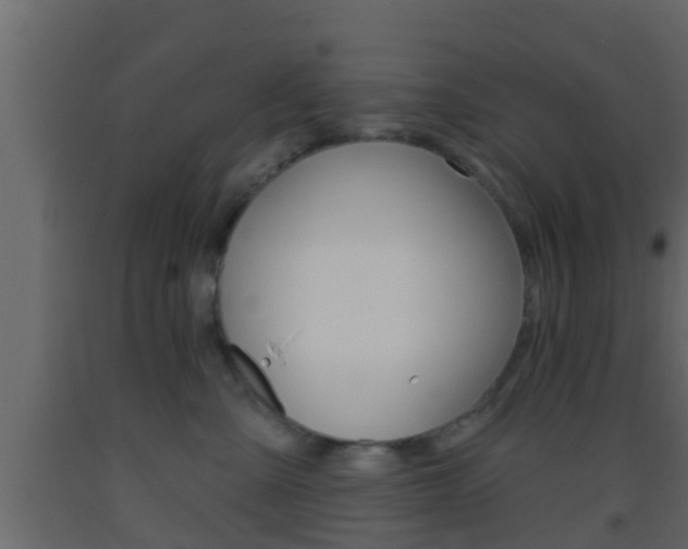 X0000093380427200710111351