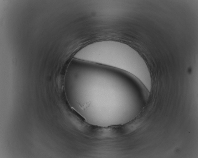 X0000093380428200710111351