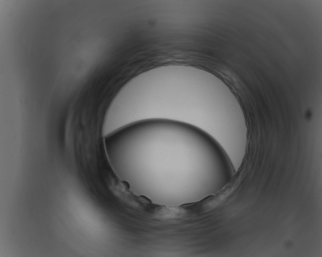 X0000093380429200710111351