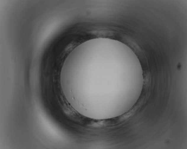 X0000093380430200710111351