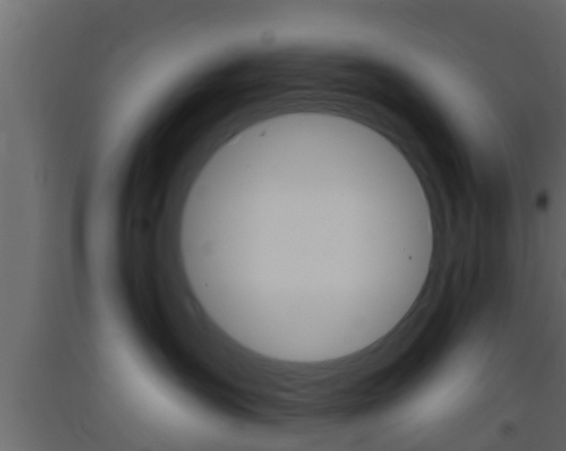 X0000093380431200710111351