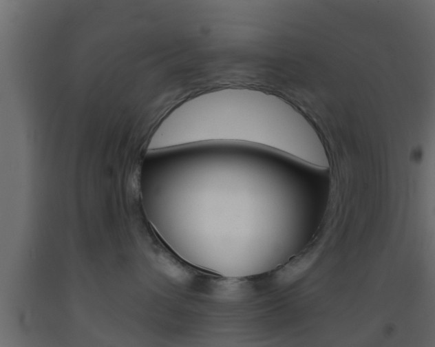 X0000093380432200710111351