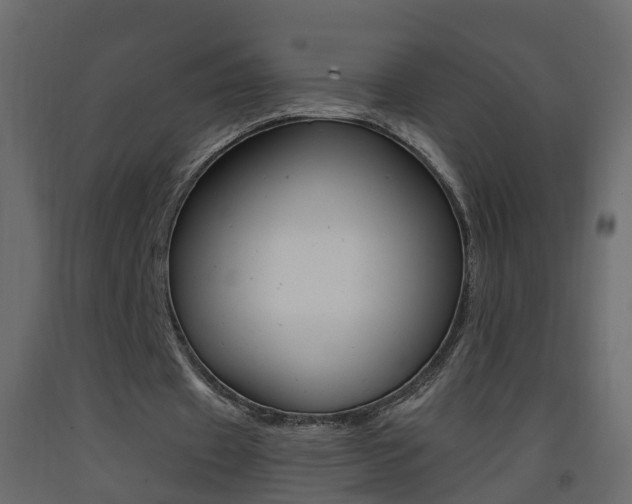 X0000093380433200710111350