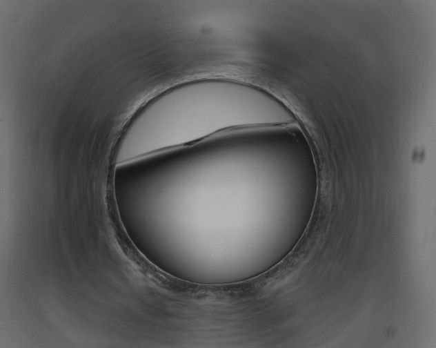 X0000093380434200710111350