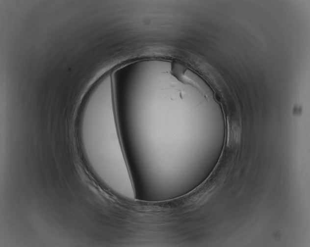 X0000093380435200710111350