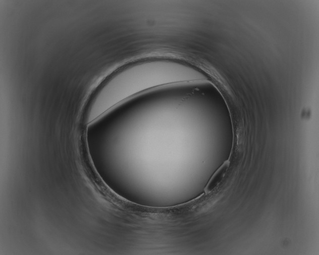 X0000093380436200710111350