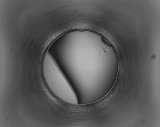 X0000093380437200710111350