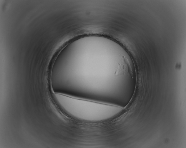 X0000093380439200710111350