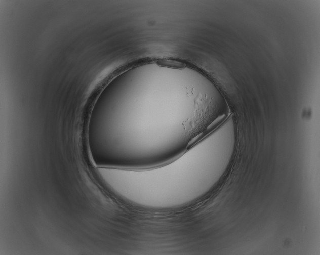 X0000093380440200710111350