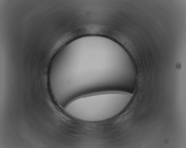 X0000093380442200710111350