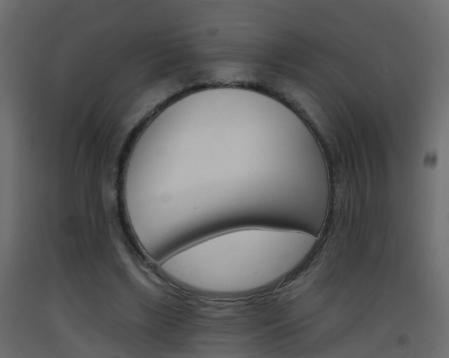 X0000093380443200710111350