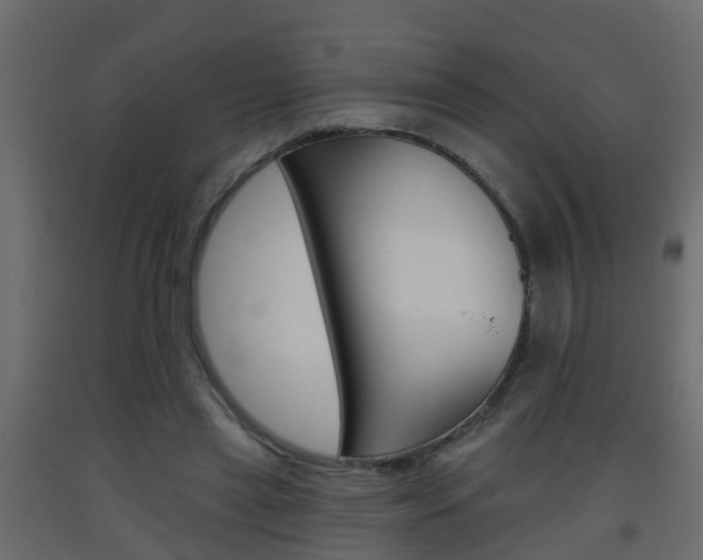 X0000093380445200710111351