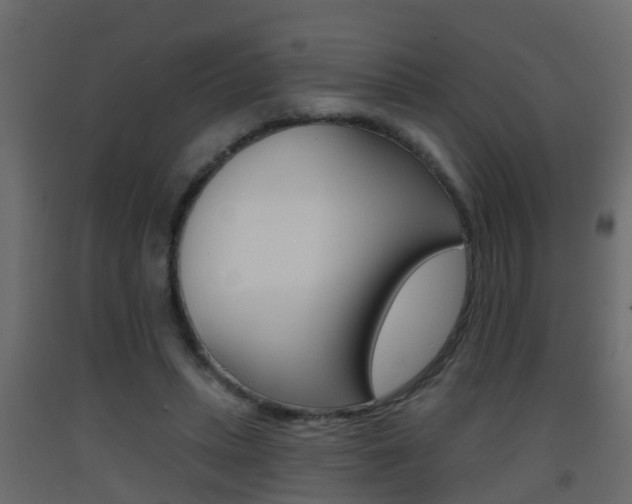 X0000093380447200710111351