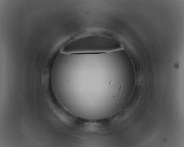 X0000093380448200710111351